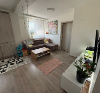 Living room in a two-room apartment with a wooden decor floor, sofa, and decorations.