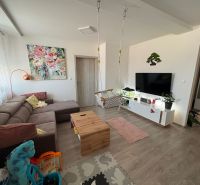 Living room in a two-room apartment with a couch, television, and a swing; floor with a wooden decor.