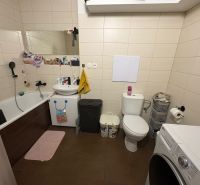 Bathroom in a 2-room apartment with a shower, toilet, and washing machine.