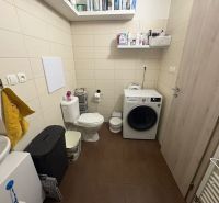 Bathroom with a washing machine and toilet in a 2-room apartment, floor with wood decor.