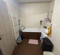Bathroom in a 2-room apartment with a bathtub, washing machine, and brown floor.