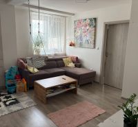 Living room in a two-room apartment with a wooden decor floor, toys, and a couch.
