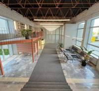 Reception with modern design, seating areas, and plants in an office building.