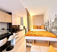 Compact space of a studio apartment with a kitchenette, desk, and bed.