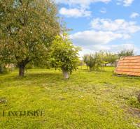 7 - 2025-10-14T130843.332.jpg