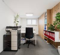 Offices with office furniture, a copier, plants, and organized documents on shelves.
