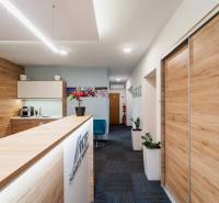Interior of an office with a counter, wood-patterned flooring, and plants.