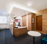 Interior of an office with wood-patterned flooring and furniture, a plant on the table.