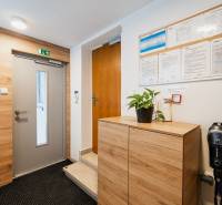 Offices with entrance doors, a plant on a cabinet, and a floor with a wooden decor.
