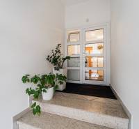 Staircase with plants in the office, white walls, glass doors, indoor environment.