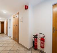 Office corridors with ceramic tiles, doors, and fire extinguishers.