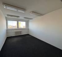 Offices with carpet, white walls, and large windows letting in daylight.