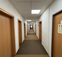 A narrow corridor with brown doors leading to various offices.