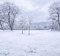 A snowy plot in Stará Huta on Stará Huta 84 street, surrounded by trees and a fence.