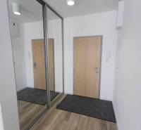A hallway with a wood-patterned floor, a built-in wardrobe, and security doors in a 2-room apartment.