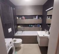 Bathroom in a 2-room apartment with a shower, bathtub, sink, and washing machine.