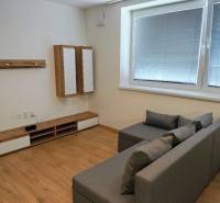 Living room in a 3-room apartment with a sofa and a wooden decor floor.