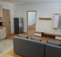 Living room in a 3-room apartment with a kitchenette and a floor with a wooden decor.