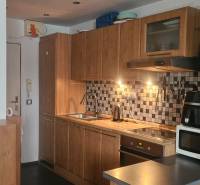 A kitchenette in a studio apartment with a wooden decor floor and ceramic mosaic on the wall.