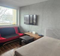 A studio apartment with a wooden floor, a light sofa, a television, and decorative curtains.