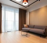 Living room in a two-room apartment with a sofa, coffee table, and wooden decor flooring.
