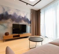 Living room in a two-room apartment with a wooden decor floor and a TV on a stand.