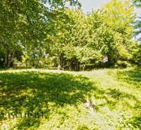 5 - 2025-08-19T134805.095.jpg