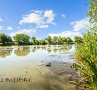 4 - 2025-08-19T134803.059.jpg