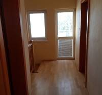 A hallway in a family house with a wood-patterned floor and windows.