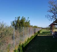 A plot of land in Stretavka with young thuja trees by the fence of a family house.