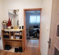 A hallway in a family house with shelves, a mirror, and a wooden-patterned floor.