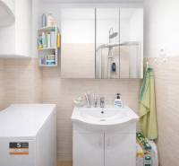A bathroom in a family house with a washing machine and a sink, above it a mirrored cabinet.