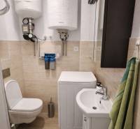 Bathroom in a family house with a toilet, washing machine, and sink.