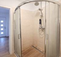 Shower enclosure and floor with wood decor in the entrance area of the family house.