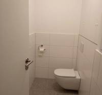 Bathroom with toilet in a 2-room apartment, white walls, tiles.