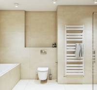 Bathroom with a bathtub, wall-hung toilet, linear drain, and white ladder on the wall.