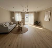 Bright living room in a family house with a sofa, a plant, and a wooden decor floor.