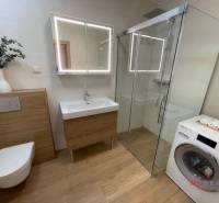 Bathroom with a shower, wooden decor flooring, and a washing machine in a 3-room apartment.
