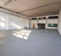 22. 1. 2026, 14_20_47.jpeg