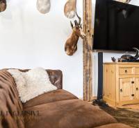 Comfortable leather sofa with a cushion, wooden cabinet, and TV in a family house.