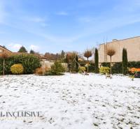 A garden covered with snow at a family house in Dolný Štál, surrounded by trees and shrubs.