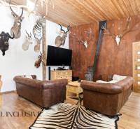 The interior of a family house with trophies, leather sofas, and a wooden decor floor.
