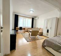 A bright living room in a two-room apartment with a wood-patterned floor and comfortable furniture.