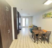 Sale One bedroom apartment, One bedroom apartment, PodhájskaMg, Nové Z