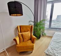 Yellow chair and houseplant in a 3-room apartment with wood-patterned flooring.