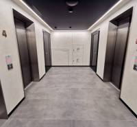Elevator hall with four doors and a backlit ceiling in a 3-room apartment.