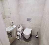 Minimalist bathroom with a toilet and sink, practical storage space for toilet paper.