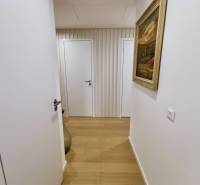 A hallway in a 3-room apartment with a wooden decor floor, a painting on the wall, and white doors.