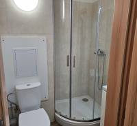 Compact office bathroom with a toilet, shower, and wood-patterned flooring.