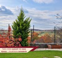 Garden in Košice - Lorinčík district on Pod Hájmi Street, view of nature.